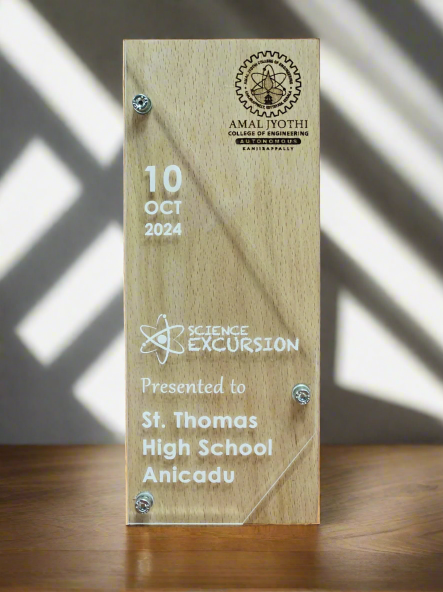 Classic Rectangular Wooden Plaque Memento (250mm x 100mm)